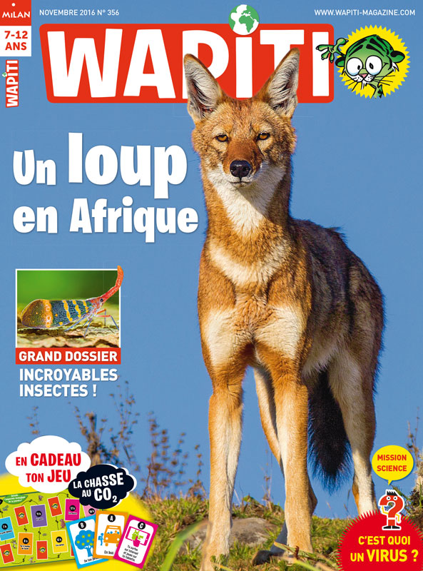 Magazine Wapiti : les déchets ont la vie dure - Novembre 2016