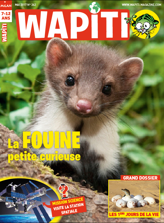 Wapiti - Magazine Mai n°362