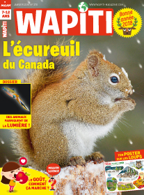 Le gaspillage alimentaire - Wapiti Magazine