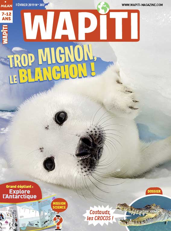 Explore l'Antarctique avec Wapiti magazine