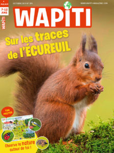 Couverture Wapiti Sur les traces de l'écureuil