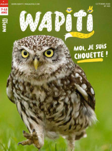 WAPITI - Octobre 2020
