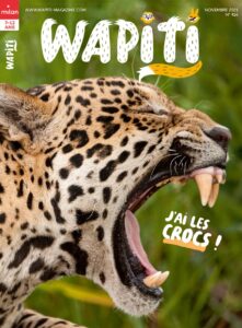 Le crapaud commun - Wapiti magazine
