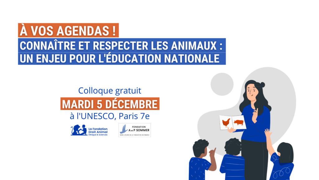 Visuel-annonce-colloque-2023-1024×577