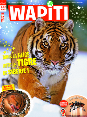 Au dodo les animaux ! Wapiti Magazine