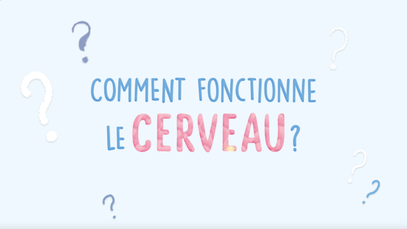Cerveau