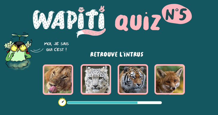 5° quiz - Wapiti magazine