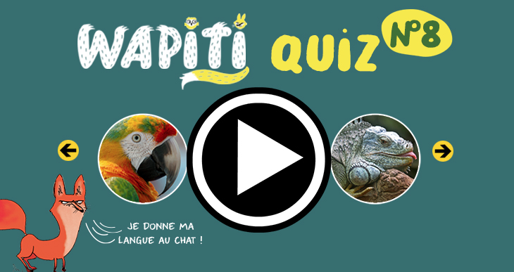 Quiz nature wapiti n°8- Wapiti magazine