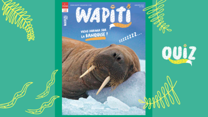 Quiz wapiti- Wapiti magazine