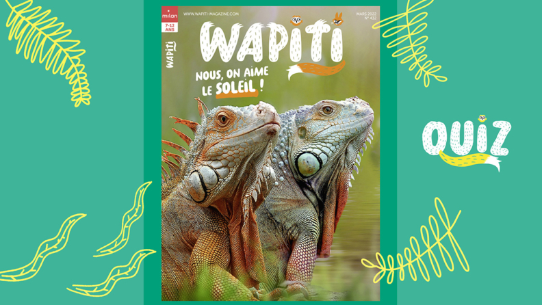 Quiz wapiti- Wapiti magazine