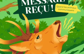 Couverture du documentaire Message reçu !