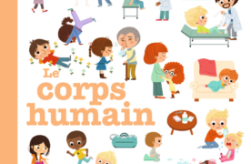 Couverture du livre Le corps humain