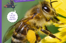 Couverture de Vis ma vie d'abeille