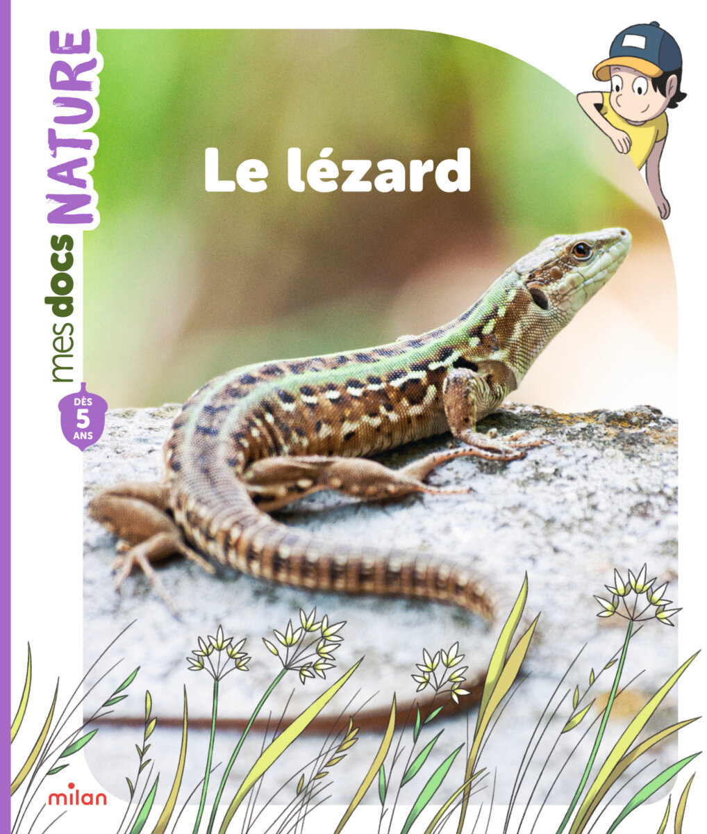 Le lézard_Mes docs nature